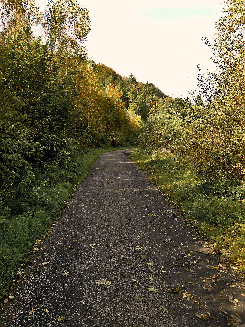 Herbstspaziergang