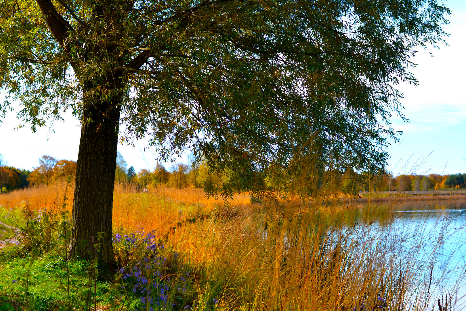 Herbstspaziergang