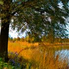 Herbstspaziergang