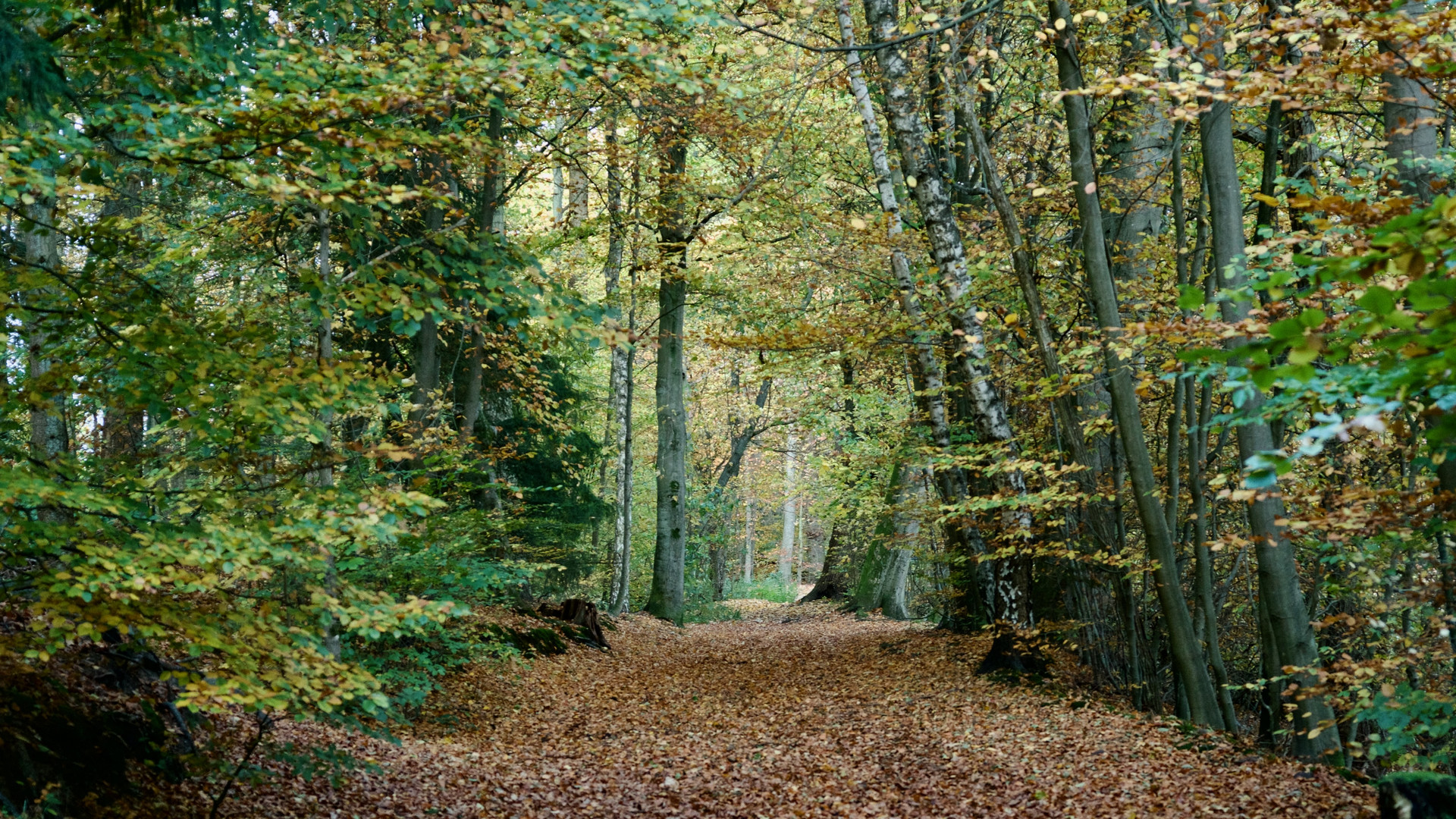 Herbstspaziergang