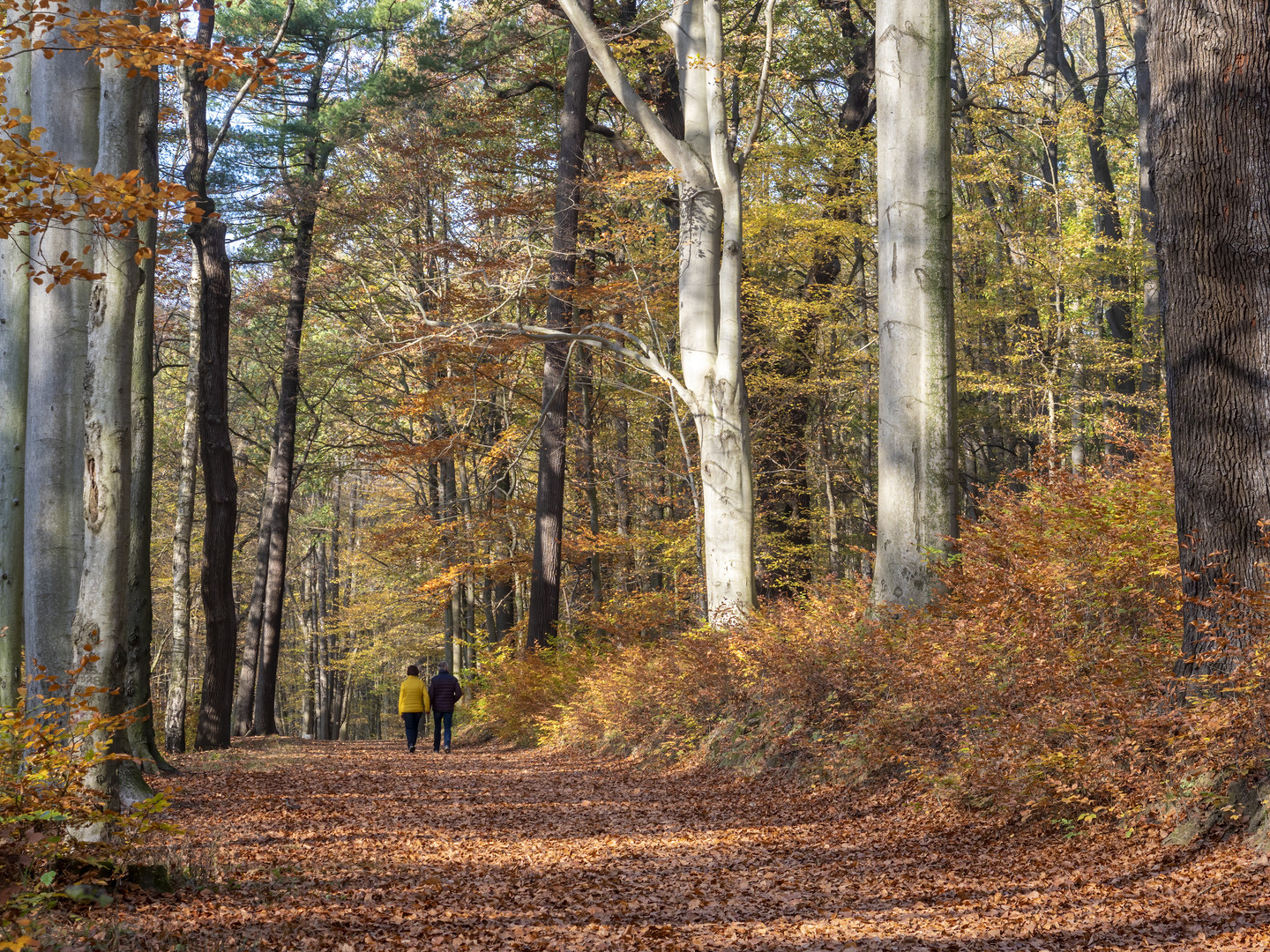 Herbstspaziergang