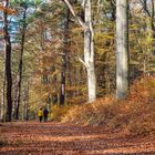 Herbstspaziergang