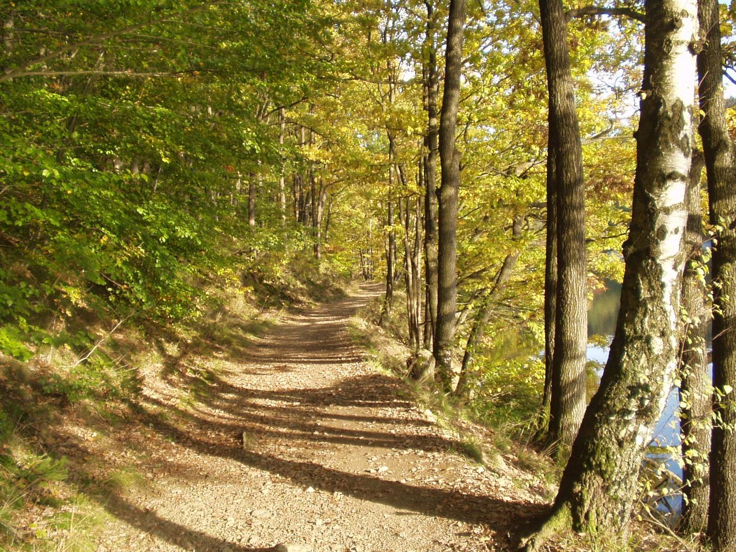 Herbstspaziergang