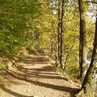 Herbstspaziergang