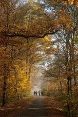 Herbstspaziergang