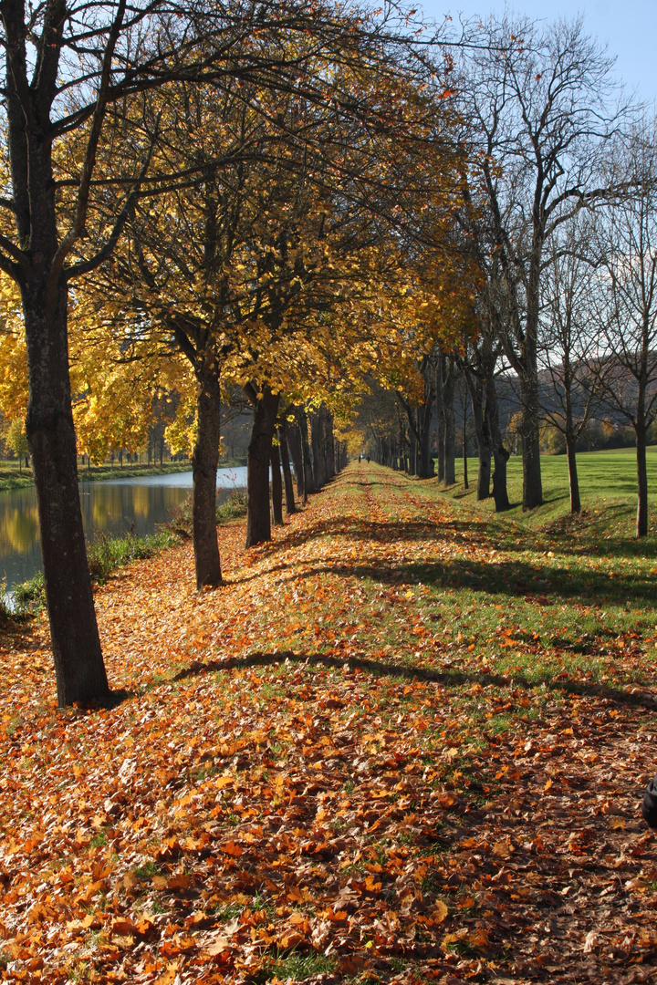 Herbstspaziergang