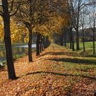 Herbstspaziergang