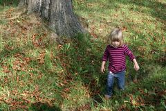 Herbstspaziergang