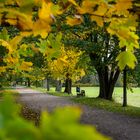 Herbstspaziergang