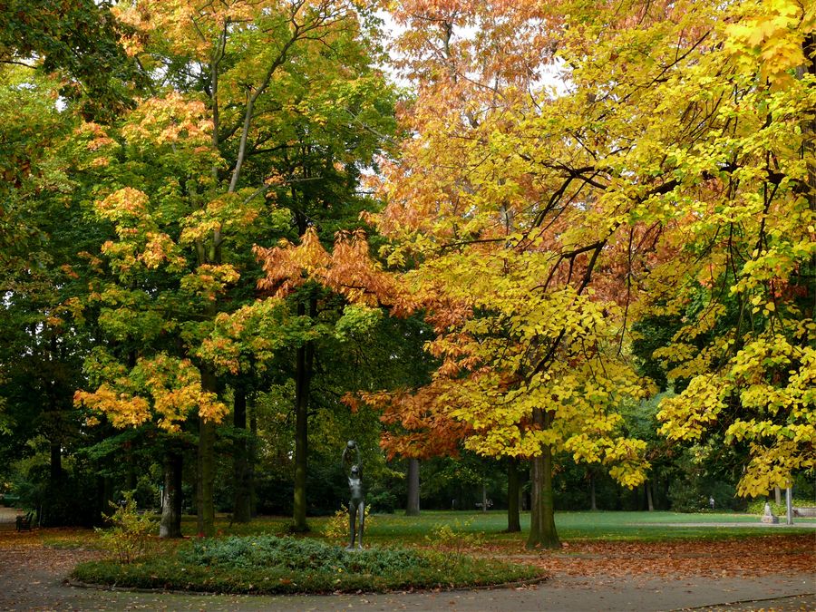 Herbstspaziergang