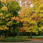 Herbstspaziergang