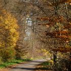 Herbstspaziergang