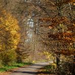 Herbstspaziergang