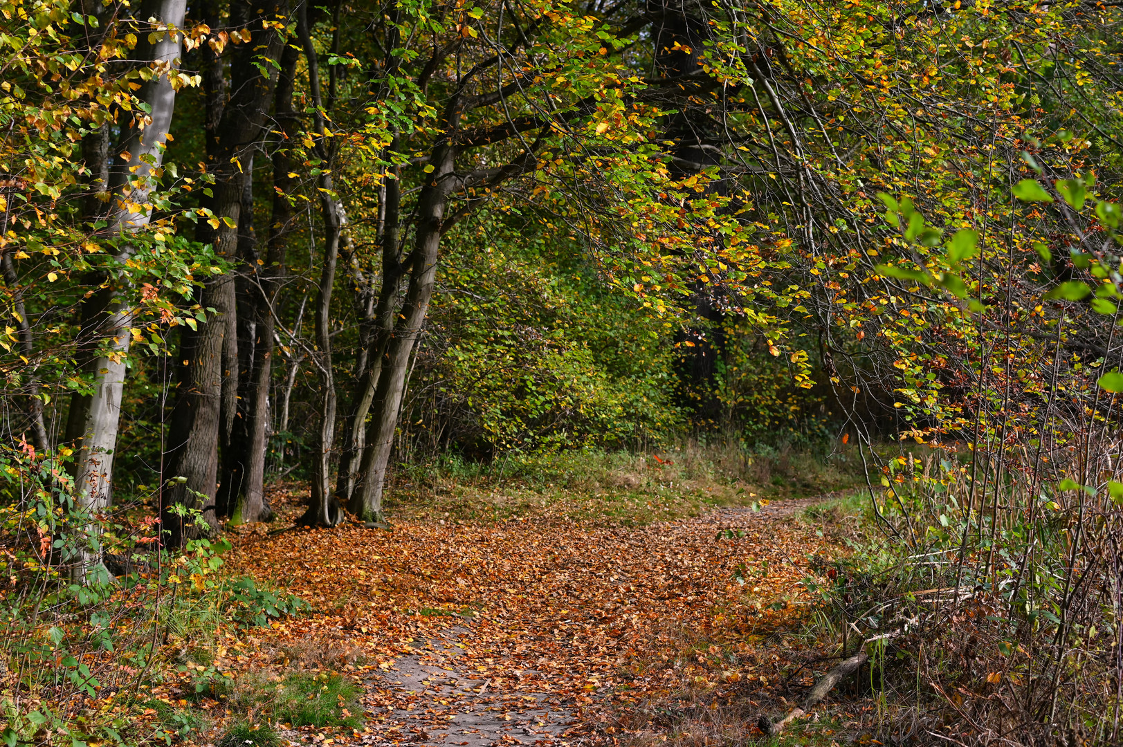 Herbstspaziergang