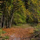 Herbstspaziergang