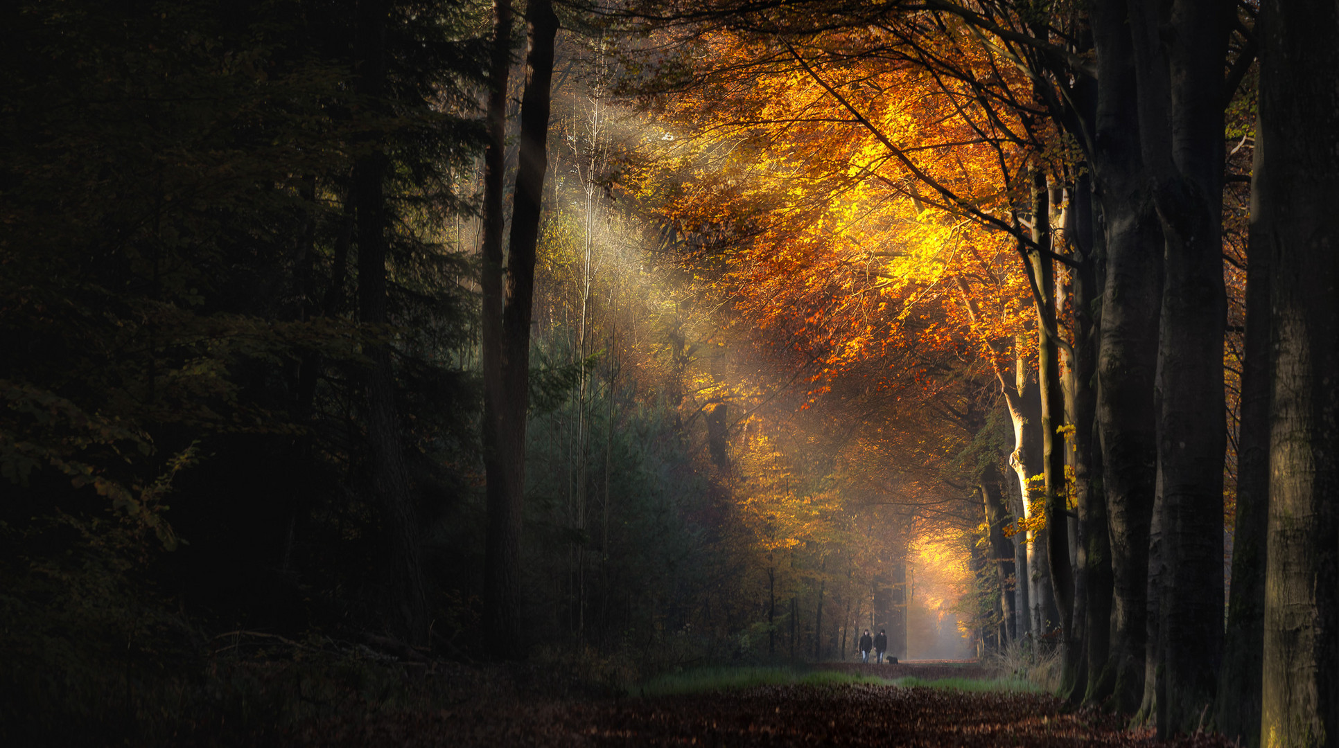 Herbstspaziergang