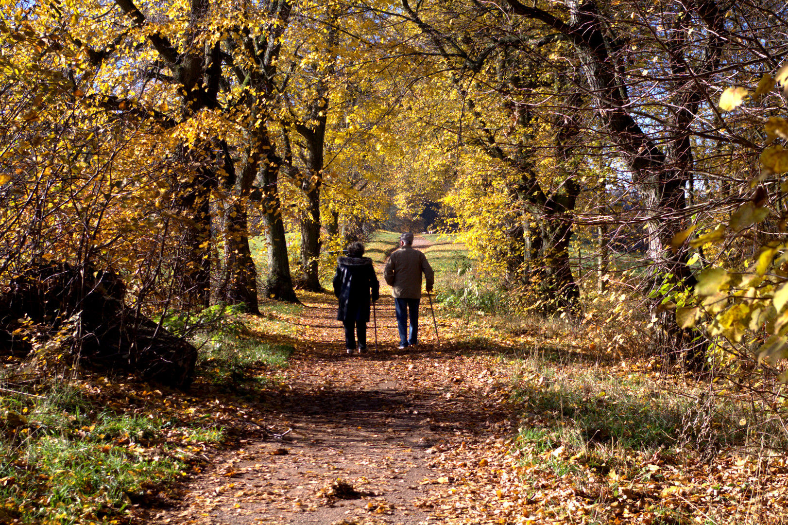 Herbstspaziergang