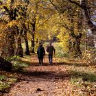 Herbstspaziergang