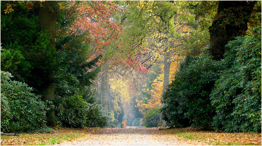 Herbstspaziergang