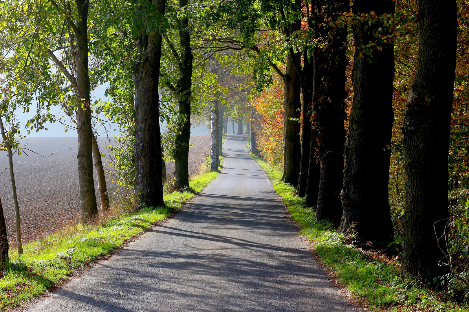 Herbstspaziergang