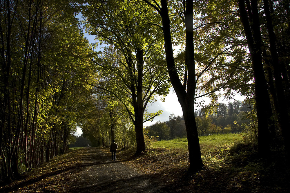 Herbstspaziergang