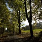 Herbstspaziergang