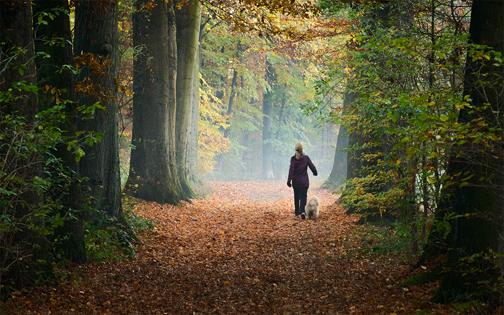 Herbstspaziergang