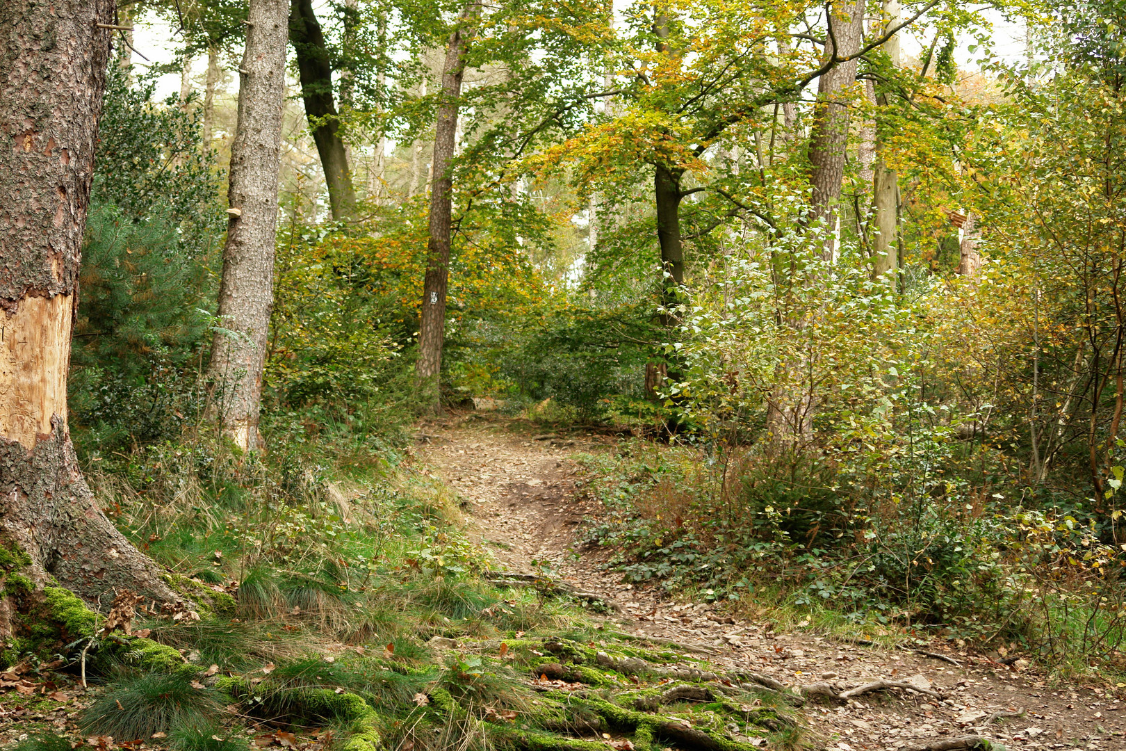 Herbstspaziergang