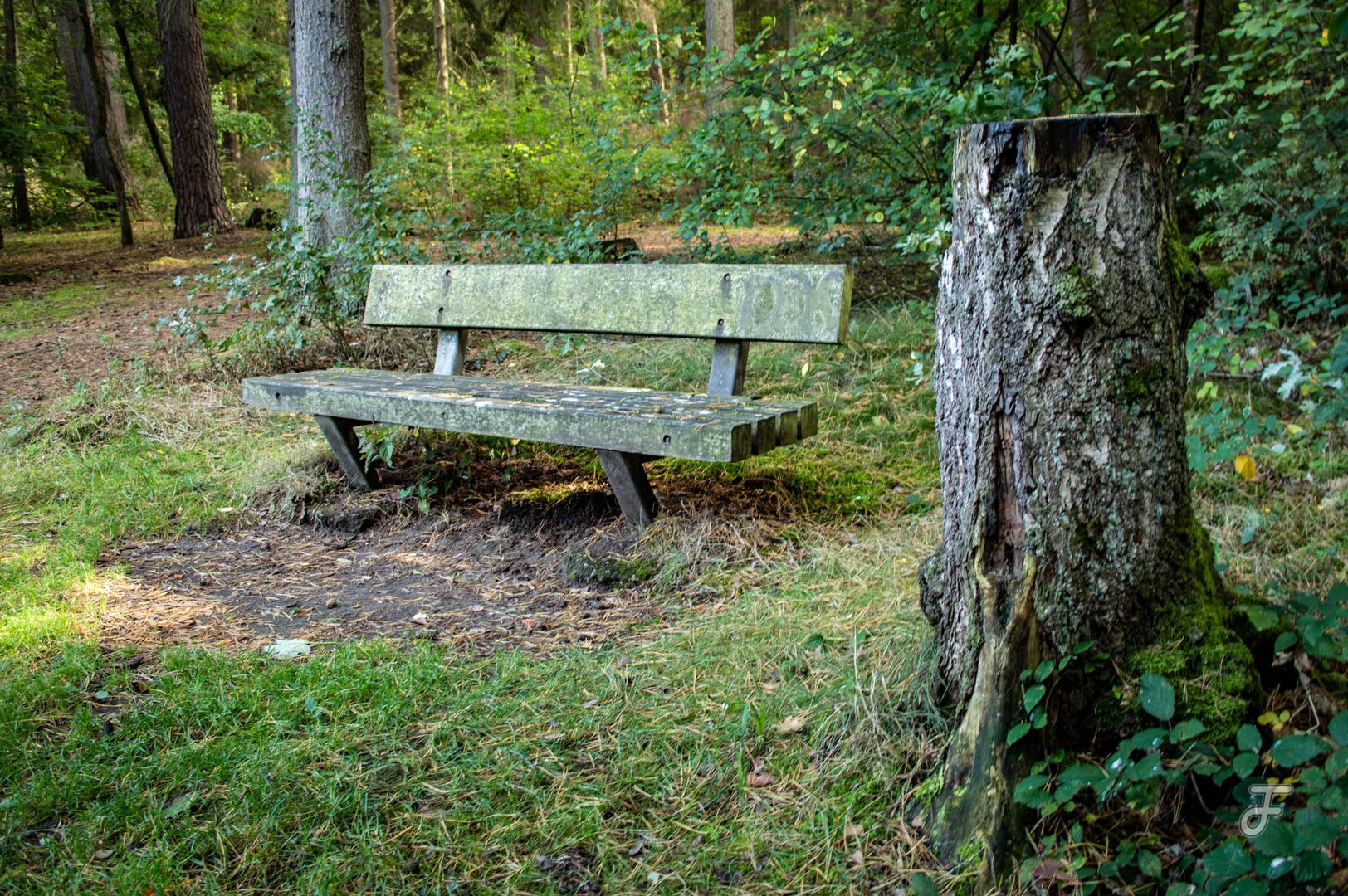 Herbstspaziergang