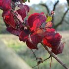 Herbstspaziergang