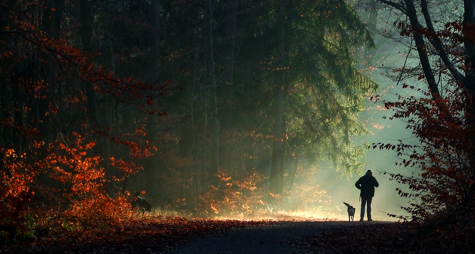 Herbstspaziergang