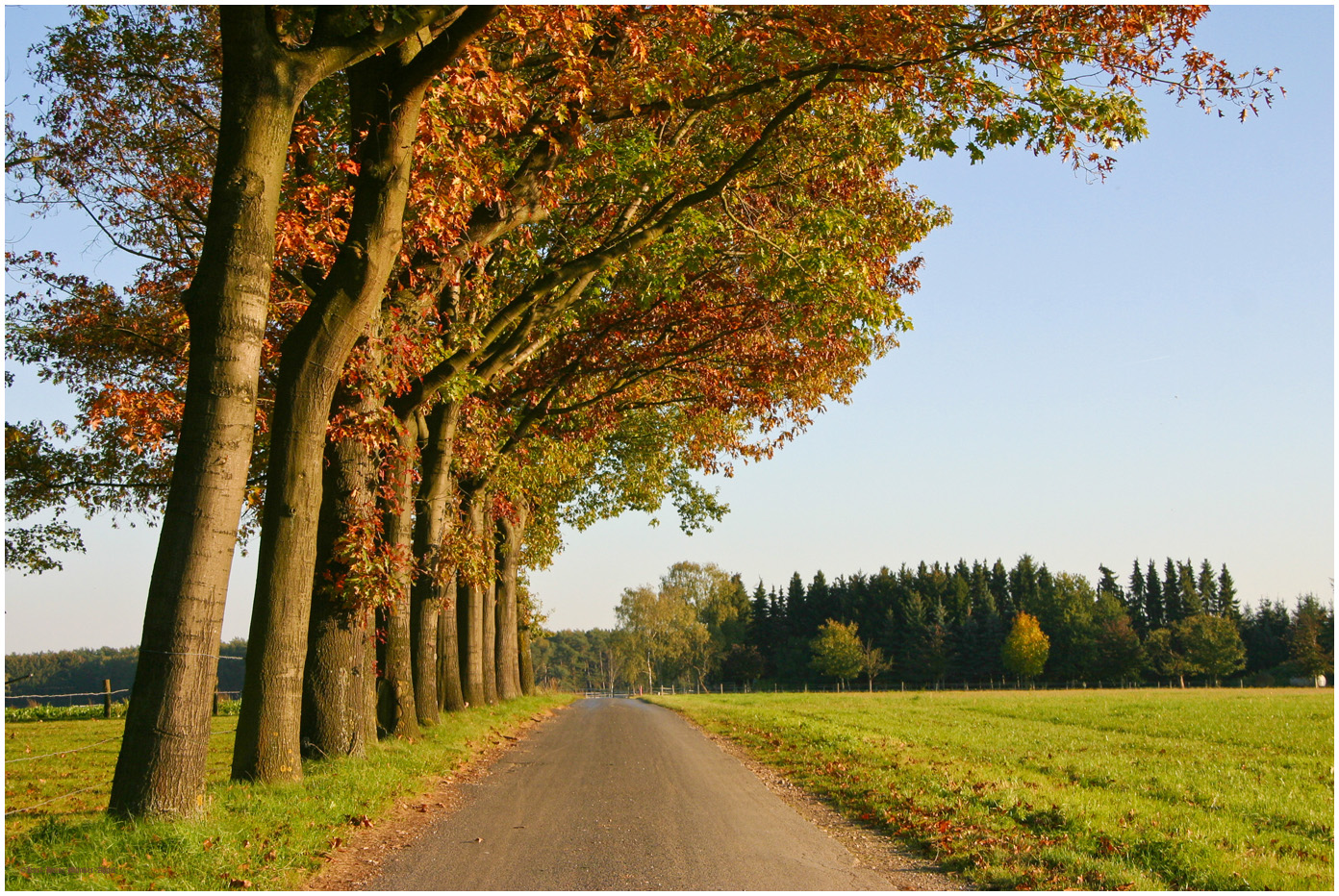 Herbstspaziergang