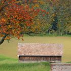 Herbstspaziergang