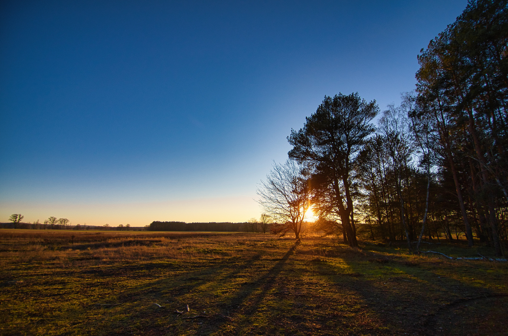 Herbstspaziergang