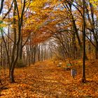 Herbstspaziergang