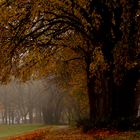 herbstspaziergang