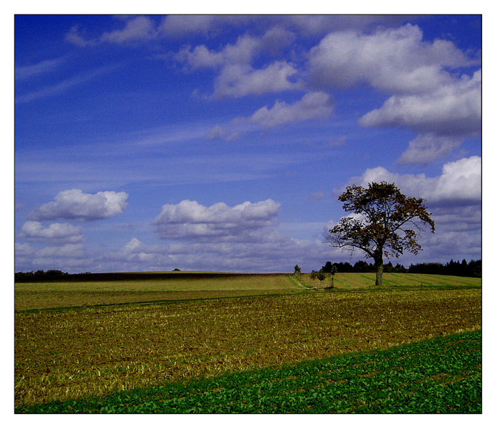 Herbstspaziergang am 3.Oktober 2004