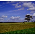 Herbstspaziergang am 3.Oktober 2004