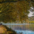 Herbstspaziergang am Baldeneysee