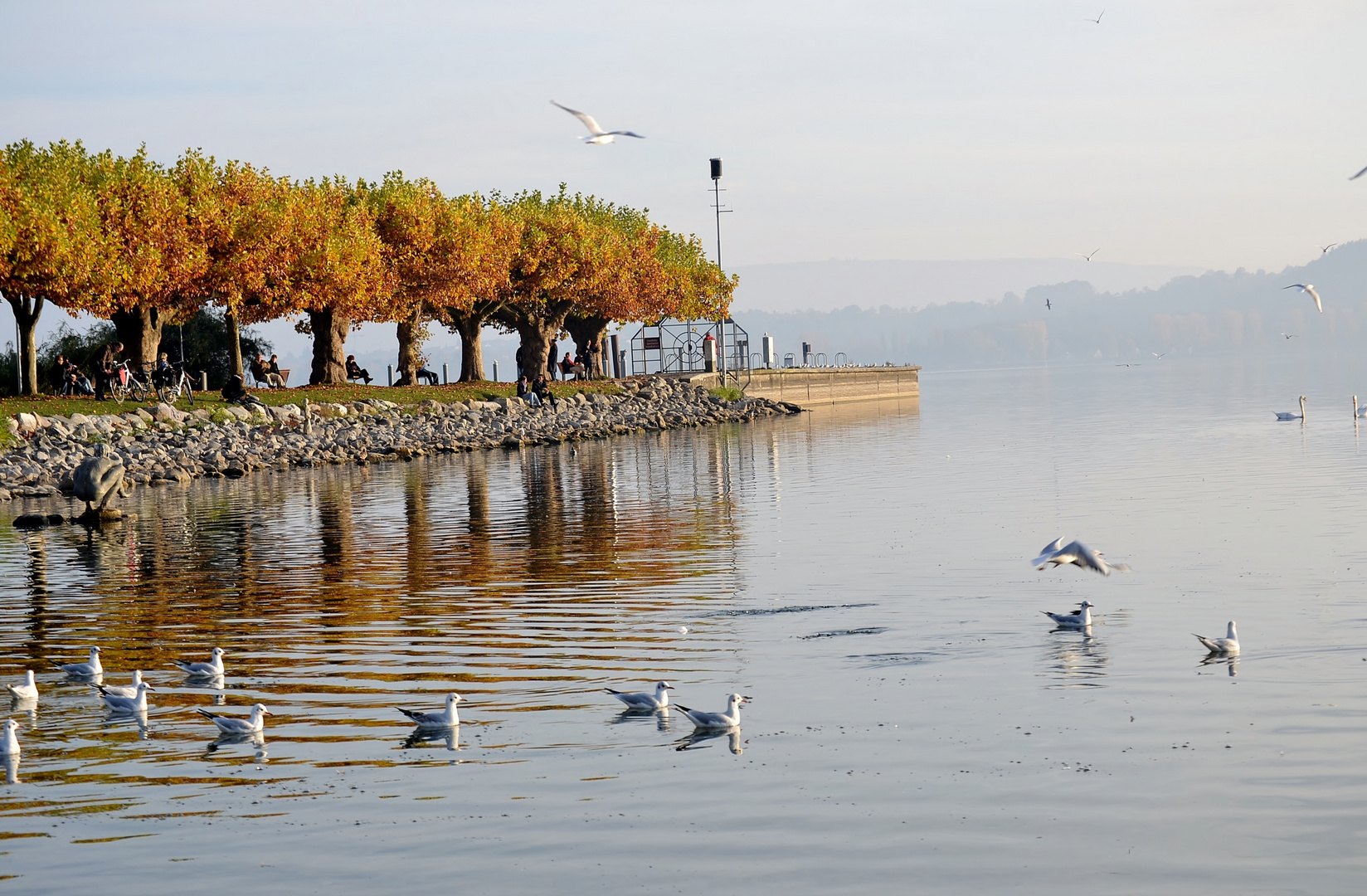 Herbstspaziergang am Bodensee 2