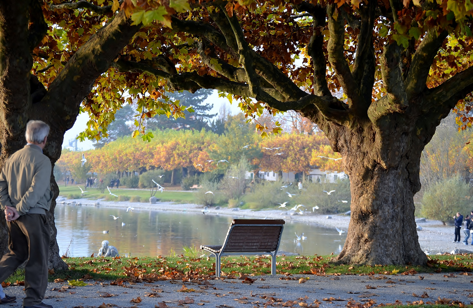 Herbstspaziergang am Bodensee