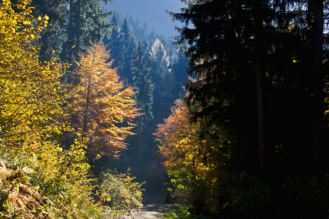 Herbstspaziergang am Dreiländereck