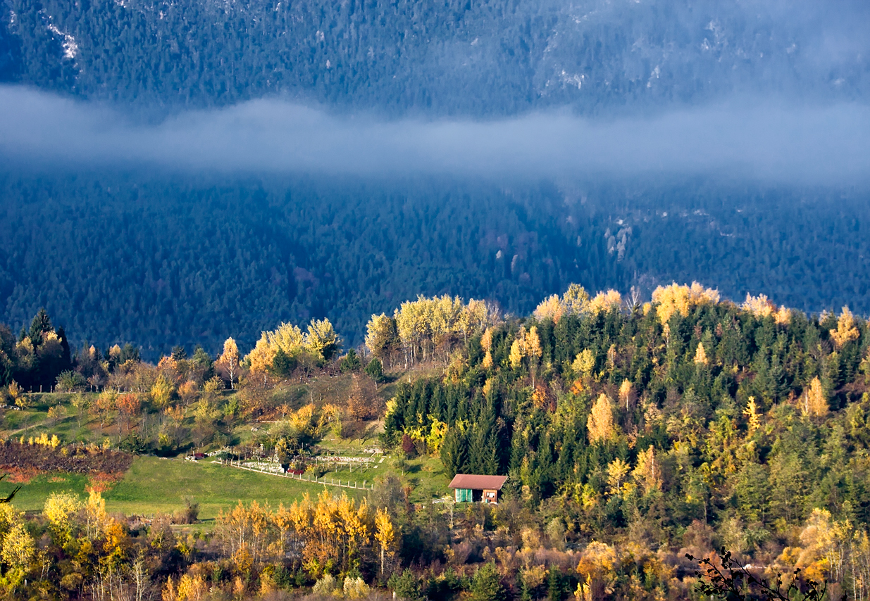 Herbstspaziergang am Dreiländereck II