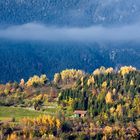 Herbstspaziergang am Dreiländereck II