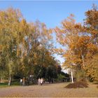 Herbstspaziergang am Killesberg in Stuttgart 2003