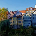 Herbstspaziergang am Neckar