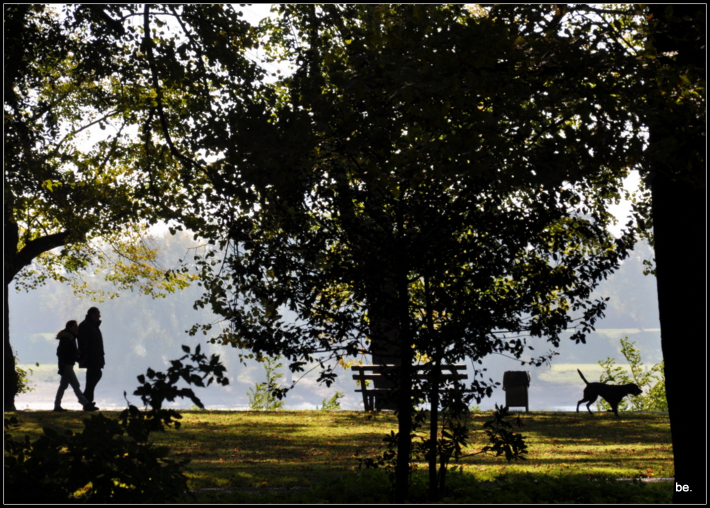 Herbstspaziergang am Rhein