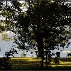 Herbstspaziergang am Rhein