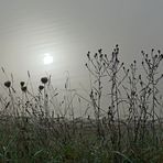 Herbstspaziergang am Rothsee (1) - in 16 Bildern