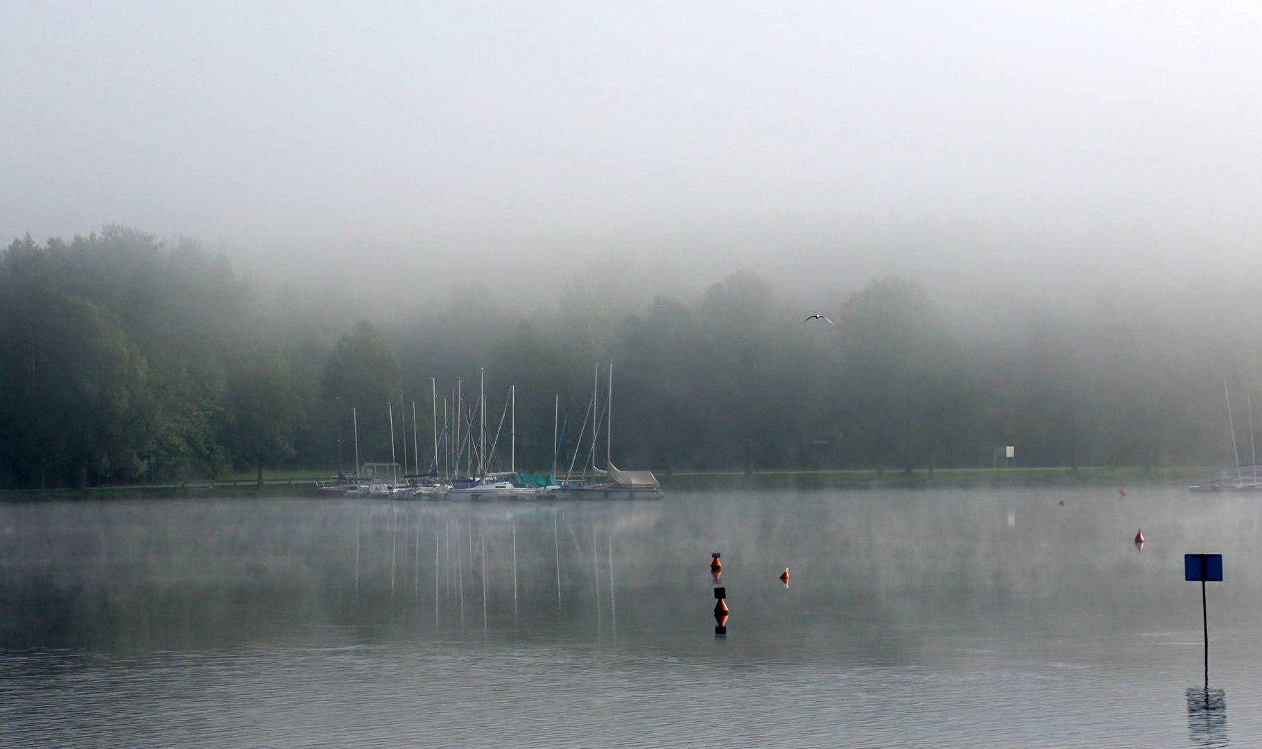 Herbstspaziergang am Rothsee (11) - in 16 Bildern